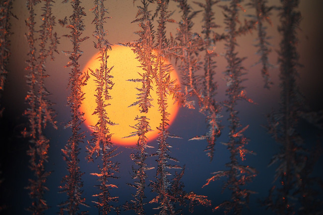 Обои картинки фото природа, зима, простор