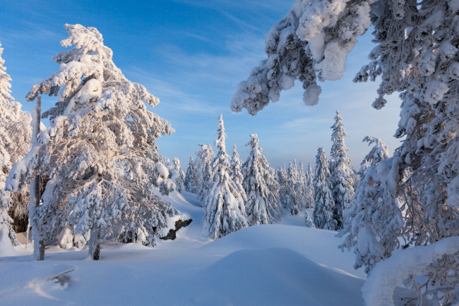 Обои картинки фото природа, зима, простор