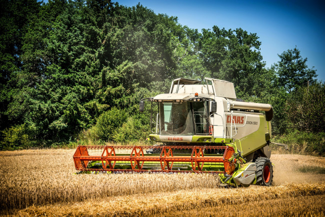 Обои картинки фото техника, комбайны, поле, комбайн