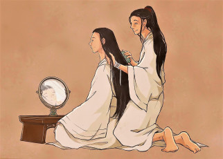 Картинка рисованное кино +мультфильмы вэй усянь лань ванцзы волосы зеркало