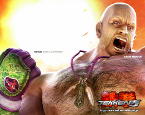 Картинка видео игры tekken