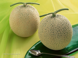 Картинка еда дыня