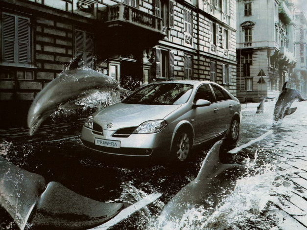 Обои картинки фото nissan, primera, автомобили, datsun