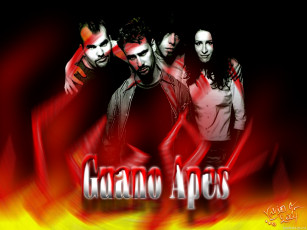 Картинка музыка guano apes