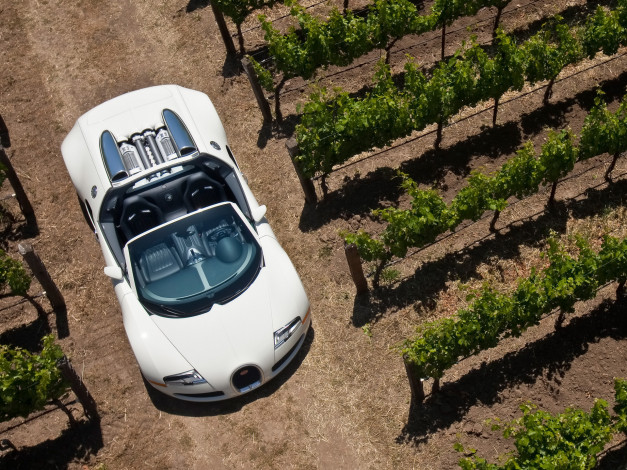 Обои картинки фото 2010, bugatti, veyron, 16, grand, sport, автомобили