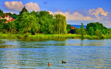 Картинка природа реки озера