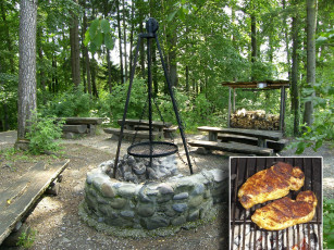 Картинка еда шашлык барбекю