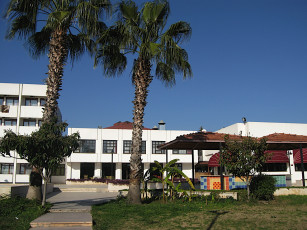 Картинка города здания дома пальмы