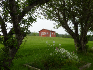 Картинка природа деревья клумба