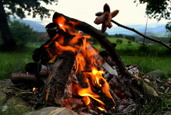 Картинка еда шашлык барбекю костер сосиски