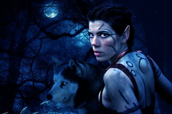 Картинка фэнтези эльфы волк луна эльф синий