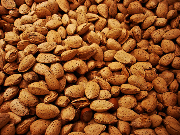 Обои картинки фото еда, орехи, каштаны