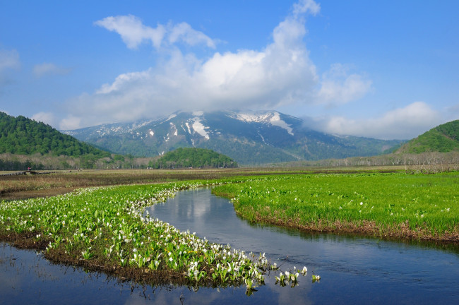 Обои картинки фото природа, реки, озера, вода, горы, луг