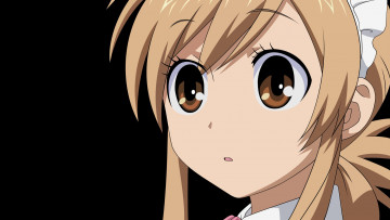 Картинка аниме nyankoi