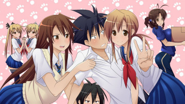 Картинка аниме nyankoi