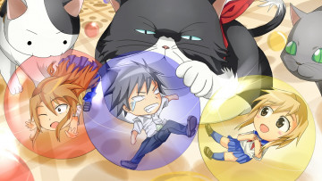 Картинка аниме nyankoi