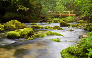 Картинка природа реки озера река мох камни