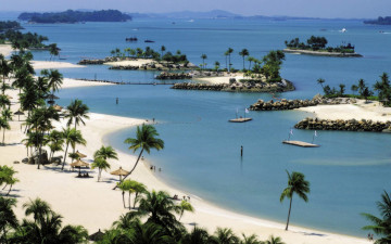 Картинка природа тропики песок пальмы камни