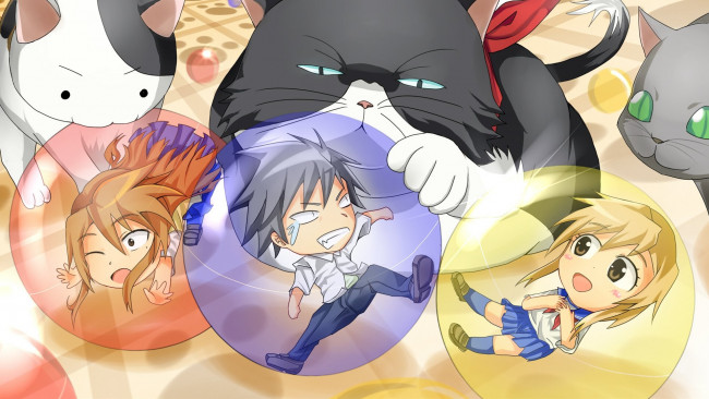 Обои картинки фото аниме, nyankoi