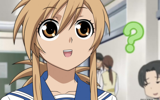 Обои картинки фото nyankoi, аниме