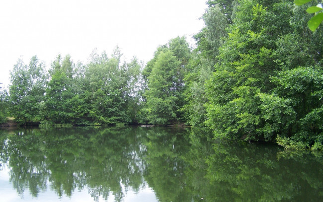 Обои картинки фото природа, реки, озера, река, деревья