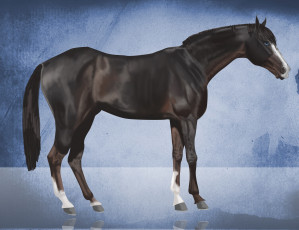 Картинка рисованные животные собаки лошадь