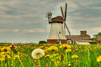 Картинка разное мельницы луг одуванчики ветряк