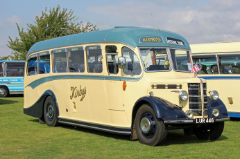 Картинка автомобили автобусы пассажирский транспорт