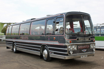 Картинка автомобили автобусы пассажирский транспорт