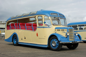 Картинка автомобили автобусы пассажирский транспорт