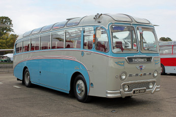 Картинка автомобили автобусы пассажирский транспорт