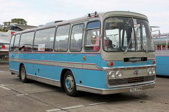 Картинка автомобили автобусы пассажирский транспорт