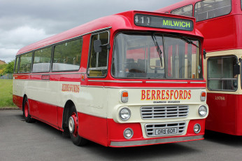 Картинка автомобили автобусы транспорт пассажирский