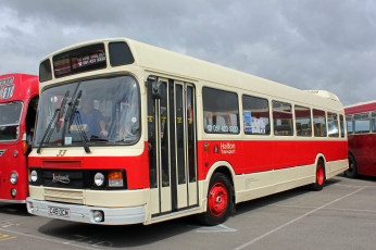 Картинка автомобили автобусы транспорт пассажирский