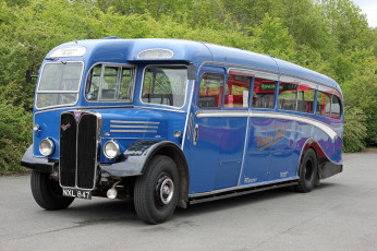 Картинка автомобили автобусы транспорт пассажирский