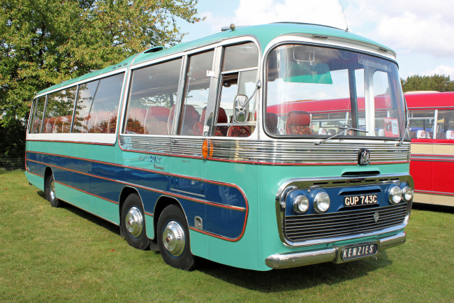 Обои картинки фото автомобили, автобусы, пассажирский, транспорт