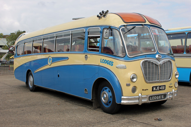 Обои картинки фото автомобили, автобусы, пассажирский, транспорт