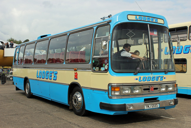 Обои картинки фото автомобили, автобусы, пассажирский, транспорт