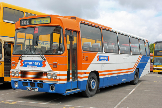 Обои картинки фото автомобили, автобусы, транспорт, пассажирский