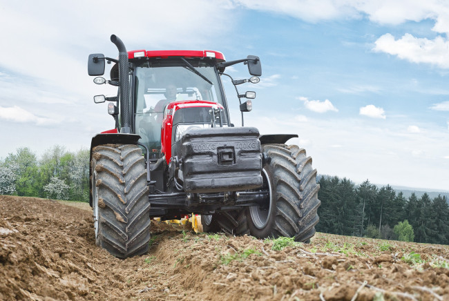 Обои картинки фото техника, тракторы, трактор, колесный