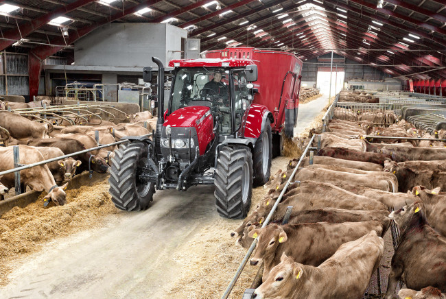 Обои картинки фото техника, тракторы, трактор, колесный