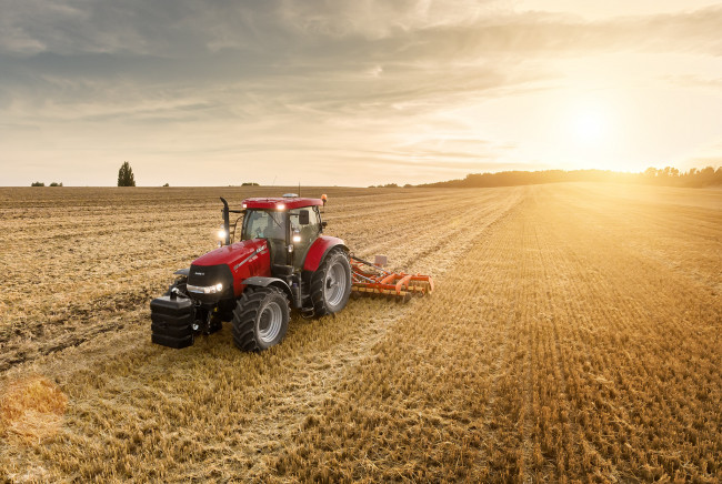 Обои картинки фото техника, тракторы, трактор, колесный