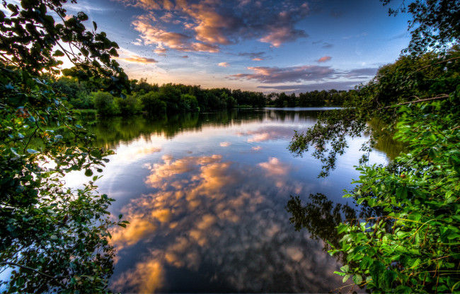 Обои картинки фото природа, реки, озера, река, лес