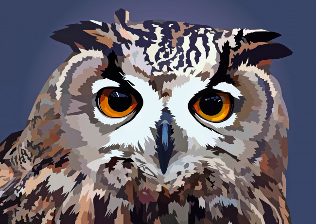 Обои картинки фото векторная графика, животные , animals, сова
