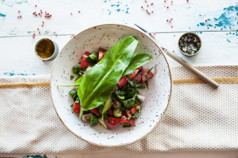 Картинка еда салаты +закуски закуска зелень помидоры салат