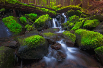 Картинка природа водопады leaves waterfall осень листья вода поток водопад autumn water stream