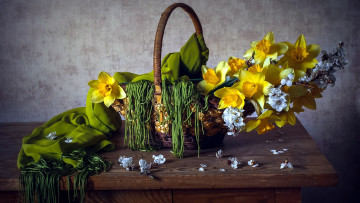 Картинка цветы букеты +композиции ветка композиция шарф корзинка нарциссы