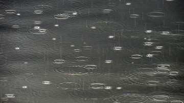 Картинка разное капли +брызги +всплески лужа