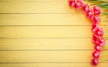 Картинка праздничные международный+женский+день+-+8+марта wood love heart тюльпаны pink romantic розовые цветы tulips 8 марта