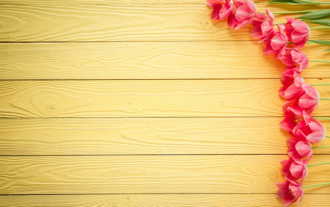 Обои картинки фото праздничные, международный женский день - 8 марта, wood, love, heart, тюльпаны, pink, romantic, розовые, цветы, tulips, 8, марта